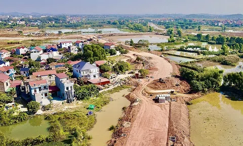 Ngày 1.4: Đấu giá 126 lô đất, giá khởi điểm 205 tỉ đồng tại Bắc Giang