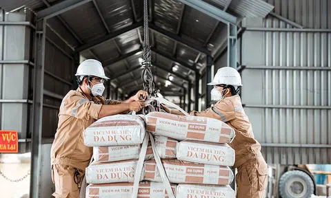 Xi măng Hà Tiên chạm đáy lợi nhuận sau 8 năm, chốt thời điểm tổ chức đại hội cổ đông