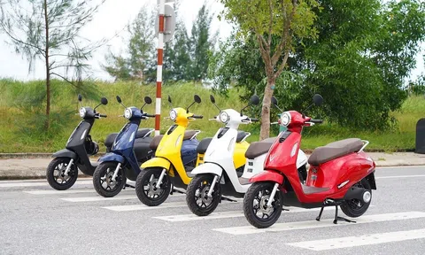 Tỷ phú Phạm Nhật Vượng thành lập công ty cho thuê xe và taxi điện VinFast