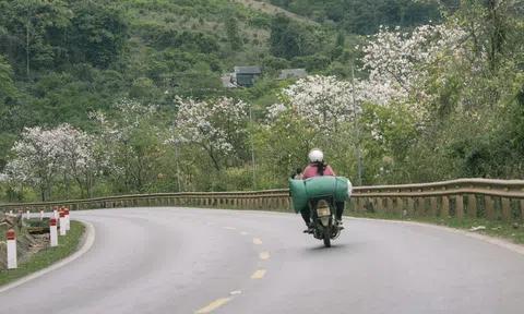 Mùa hoa ban ở Mộc Châu