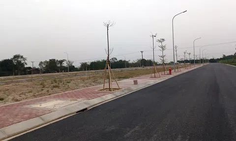 Hải Dương sắp đấu giá 215 lô đất, giá khởi điểm cao nhất 34 triệu đồng/m2