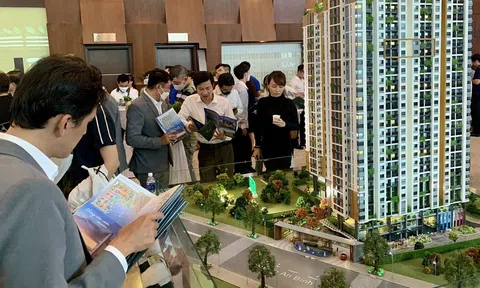 Thí điểm thu thuế bất động sản thứ hai tại TP.HCM hiện nay là bất hợp lý