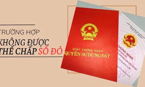 Trường hợp nào không được vay thế chấp sổ đỏ?