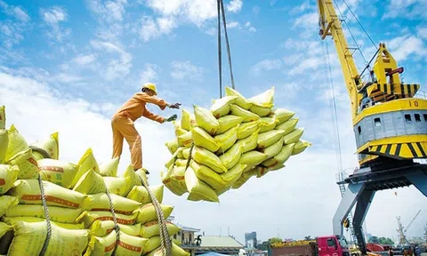 Xuất khẩu gạo có tín hiệu vui