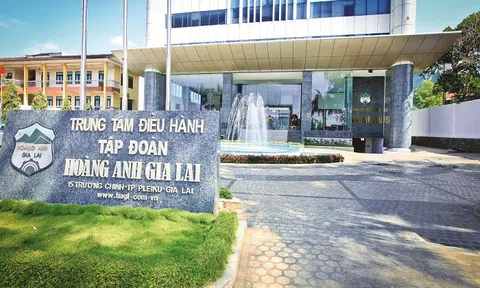 HAGL bổ sung tài sản bảo đảm nghĩa vụ tín dụng cho công ty con