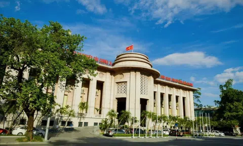 Thủ tướng chỉ đạo Ngân hàng Nhà nước rà soát, phân loại dự án bất động sản để giãn nợ, cơ cấu lại nhóm nợ…