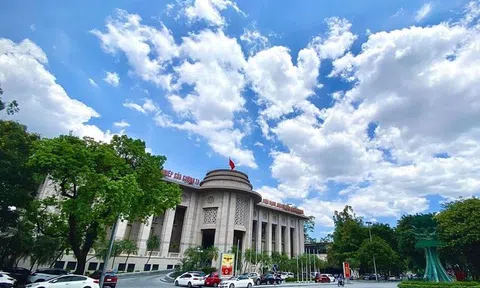 Ngân hàng Nhà nước hạ một số lãi suất điều hành