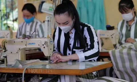 Thí điểm mô hình tổ chức hoạt động lao động, dạy nghề cho phạm nhân ngoài trại giam