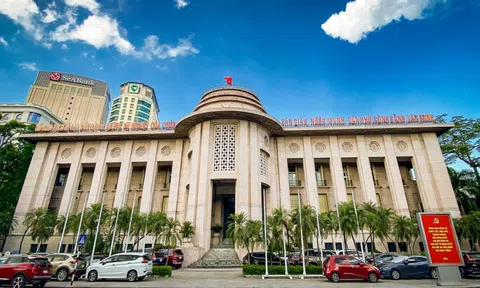 Thủ tướng lập Ban Chỉ đạo cơ cấu lại hệ thống các tổ chức tín dụng giai đoạn 2021 – 2025