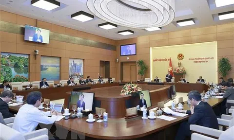 Ủy ban Thường vụ Quốc hội cho ý kiến về dự án Luật Đấu thầu