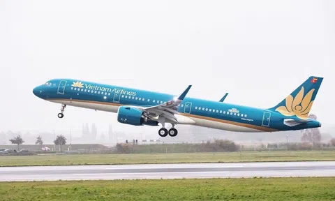 Vietnam Airlines đình chỉ 4 tiếp viên nghi ngờ mang theo chất cấm