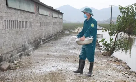 Thành phố Hà Nội quyết không để dịch cúm gia cầm lây sang người