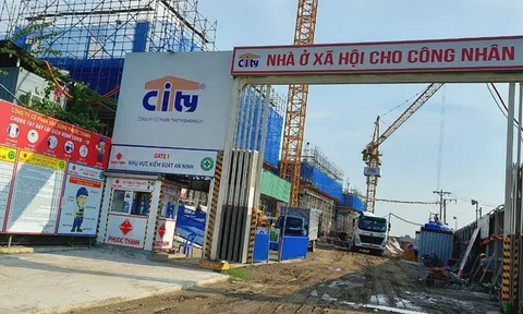 Đề xuất dùng vật liệu xanh để xây dựng 1 triệu căn nhà ở xã hội