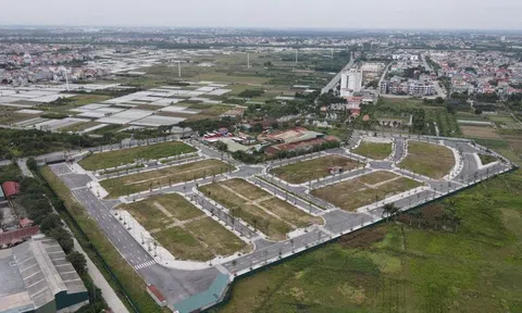 Hà Nội: Giá khởi điểm đấu giá khu đất xây nhà liền kề, biệt thự ở Hoài Đức hơn 60 triệu đồng/m2