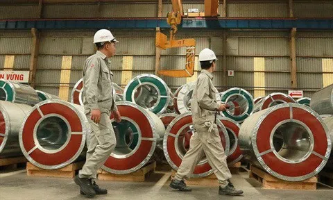 Lỗ của Nam Kim "đội" lên 125 tỷ đồng sau kiểm toán, nguyên nhân do đâu?
