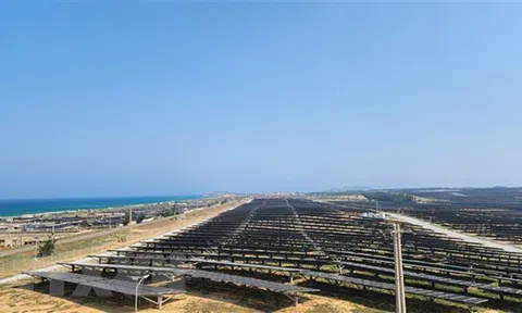 Doanh nghiệp điện mặt trời đề xuất gỡ khó cho dự án điện chuyển tiếp