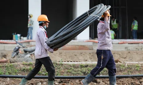Thủ tướng: Tự ý nâng giá, ép giá vật liệu xây dựng làm đường cao tốc sẽ bị thu hồi giấy phép