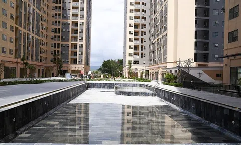 Thủ tướng yêu cầu các địa phương không đùn đẩy trách nhiệm xử lý vướng mắc đất đai