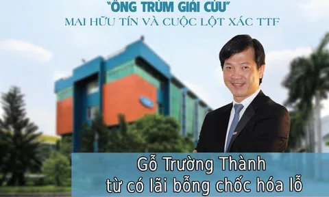 Công ty kiểm toán vào cuộc, Gỗ Trường Thành từ có lãi bỗng chốc hóa lỗ hàng tỷ đồng