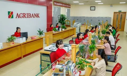 Agribank đang nắm giữ 2,3 triệu tỷ đồng bất động sản thế chấp, cao gấp 1,6 lần dư nợ cho vay khách hàng