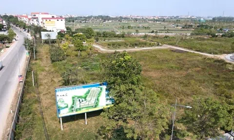 Hà Nội chỉ đạo kiểm tra, xử lý 700 dự án chậm triển khai tại Thạch Thất, nhiều “ông lớn” được điểm danh