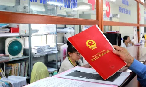 Sử dụng đất sai mục đích có được cấp đổi Giấy chứng nhận?