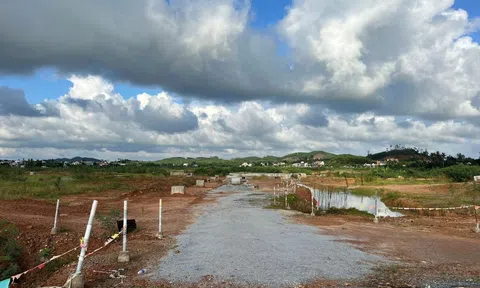 Chiếm hơn 30.000 m2 đất, Đất Xanh Quảng Ngãi bị phạt hơn 600 triệu đồng