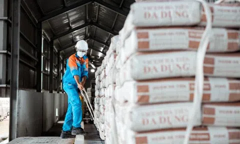 Cổ đông Xi măng Hà Tiên sắp nhận về hàng trăm tỉ đồng tiền cổ tức