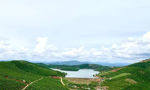 Thành phố Bảo Lộc đề nghị chấm dứt nghiên cứu, lập ý tưởng quy hoạch dự án 10 tỷ USD do Novaland tài trợ