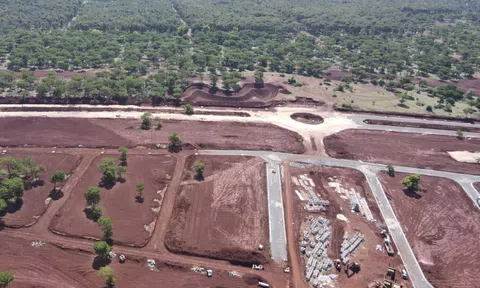 Hàng loạt cán bộ tỉnh Gia Lai bị xử lý kỷ luật