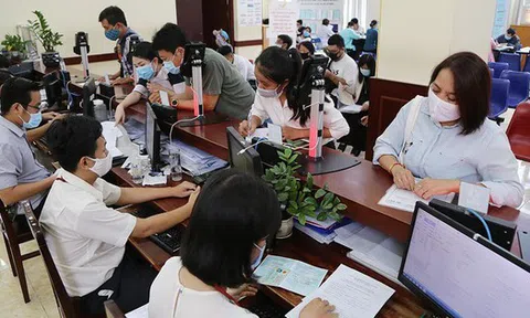 Thành lập Ban Chỉ đạo xây dựng và quản lý vị trí việc làm trong các cơ quan, tổ chức hành chính, đơn vị sự nghiệp công lập