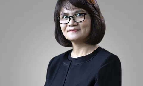 Bà Phạm Minh Hương rời ghế Chủ tịch Hội đồng quản trị VNDirect