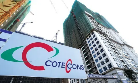 Coteccons báo lãi tăng gấp đôi