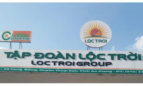Nghịch lý của Lộc Trời Group: Doanh thu tăng, vẫn báo lỗ