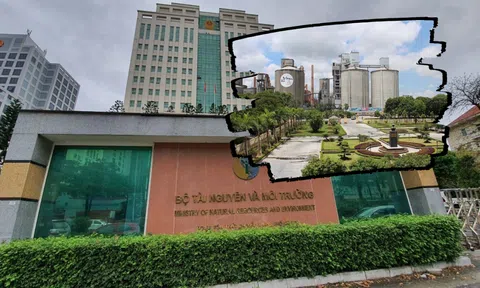Vicem Hoàng Thạch và một loạt “ông lớn” xi măng vào “tầm ngắm” của Thanh tra Bộ Tài nguyên và Môi trường