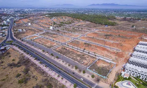 Tân Việt Phát thu lời 500 tỉ đồng nhờ phân lô bán nền đất nghĩa trang ở Phan Thiết