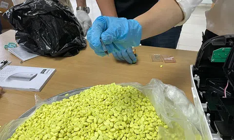 Thu giữ hơn 7kg ma túy vận chuyển từ Đức về Việt Nam
