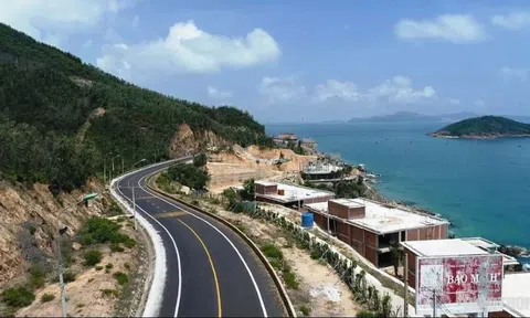 Vì sao dự án Khu du lịch nghỉ dưỡng cao cấp Thiên Khánh tại Bình Định bị chấm dứt hoạt động?