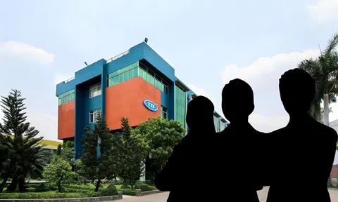 Lộ diện tổ chức nước ngoài vừa chi hàng tỉ đồng để trở thành cổ đông lớn của Gỗ Trường Thành