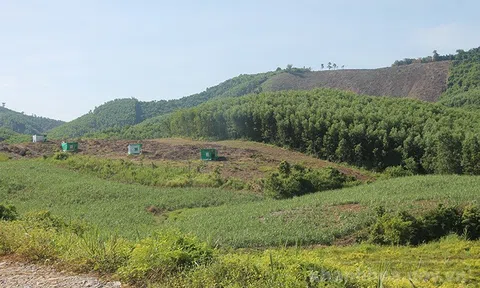 Sơn La rà soát đất nông, lâm trường, xử lý dứt điểm đất lấn chiếm, xây sai phép