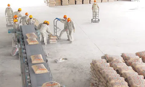 Một công ty xi măng lên kế hoạch… lỗ năm thứ 8 liên tiếp