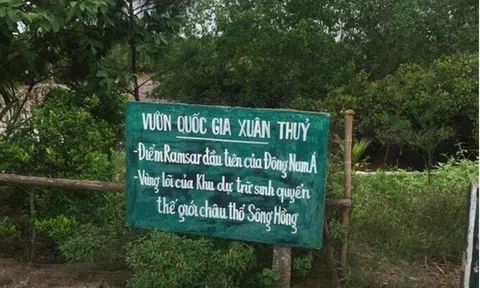 Sở GD&ĐT Hà Nội yêu cầu không tự tổ chức các hoạt động trải nghiệm mang tính tự phát