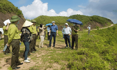 Lạng Sơn xem xét đề nghị chuyển đổi diện tích rừng trồng thuộc dự án Việt Đức từ rừng phòng hộ sang rừng sản xuất