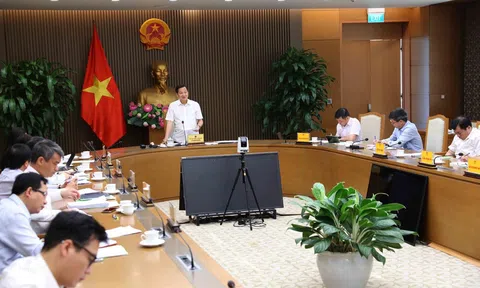 Phó Thủ tướng Lê Minh Khái: Đồng ý chủ trương bổ sung ngành điện hóa, ủng hộ Vinachem tăng vốn điều lệ