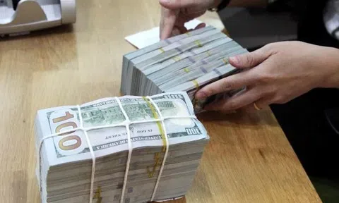 Thêm 25 triệu USD tài trợ DN sản xuất bền vững, chống biến đổi khí hậu