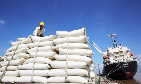 Phê duyệt Chiến lược phát triển thị trường xuất khẩu gạo Việt Nam đến năm 2030