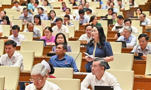 Đại biểu Quốc hội kiến nghị thanh tra toàn diện hoạt động bảo hiểm nhân thọ