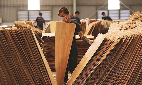 Một mặt hàng của Việt Nam khiến Mỹ mạnh tay chi 2 tỷ USD để gom phục vụ nhu cầu trong nước