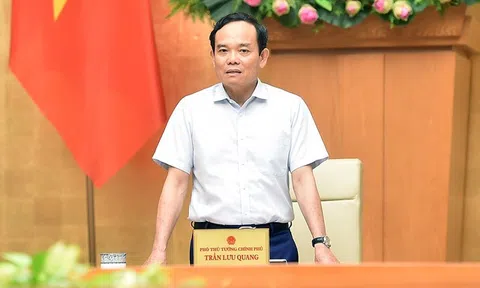 Thiệt đơn, thiệt kép khi đánh bắt cá bất hợp pháp
