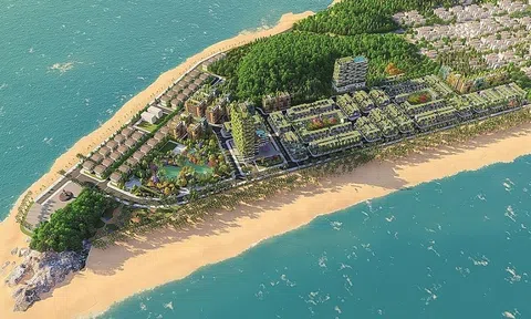 Dự án Flamingo Linh Trường bị giảm mức đầu tư xuống một nửa
